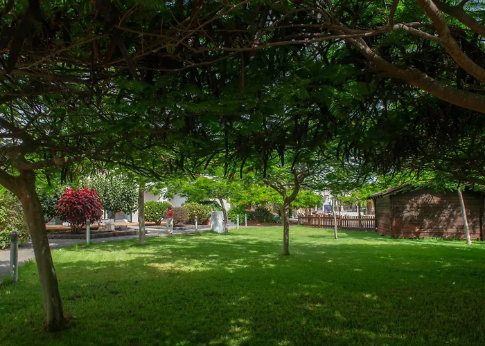 Marismas De Коральео