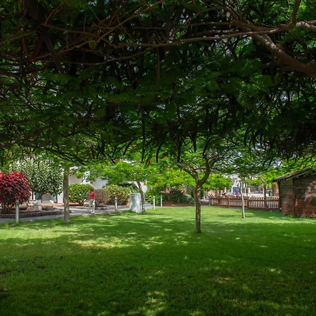 Marismas De コラレホ