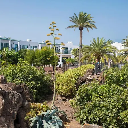 شقة فندقية Marismas De 3*